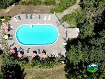 Piscina ovalada vista desde arriba