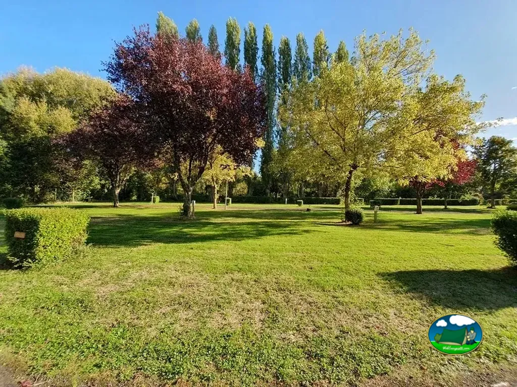 Pradera arbolada del recinto