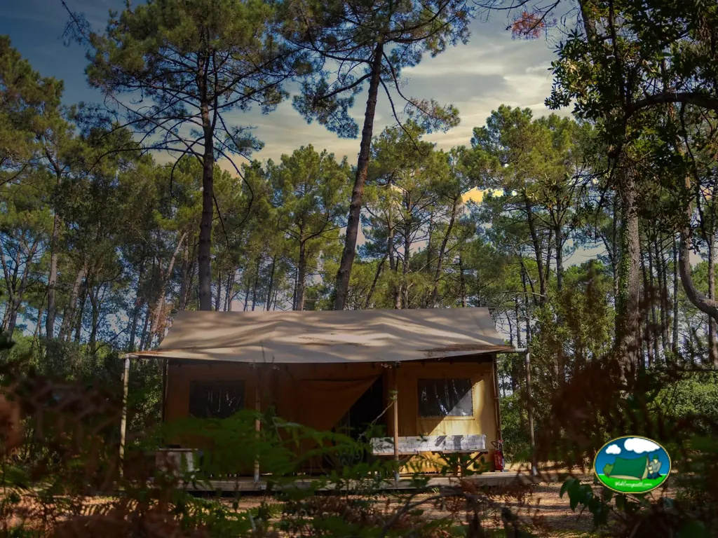 Tienda safari entre pinos