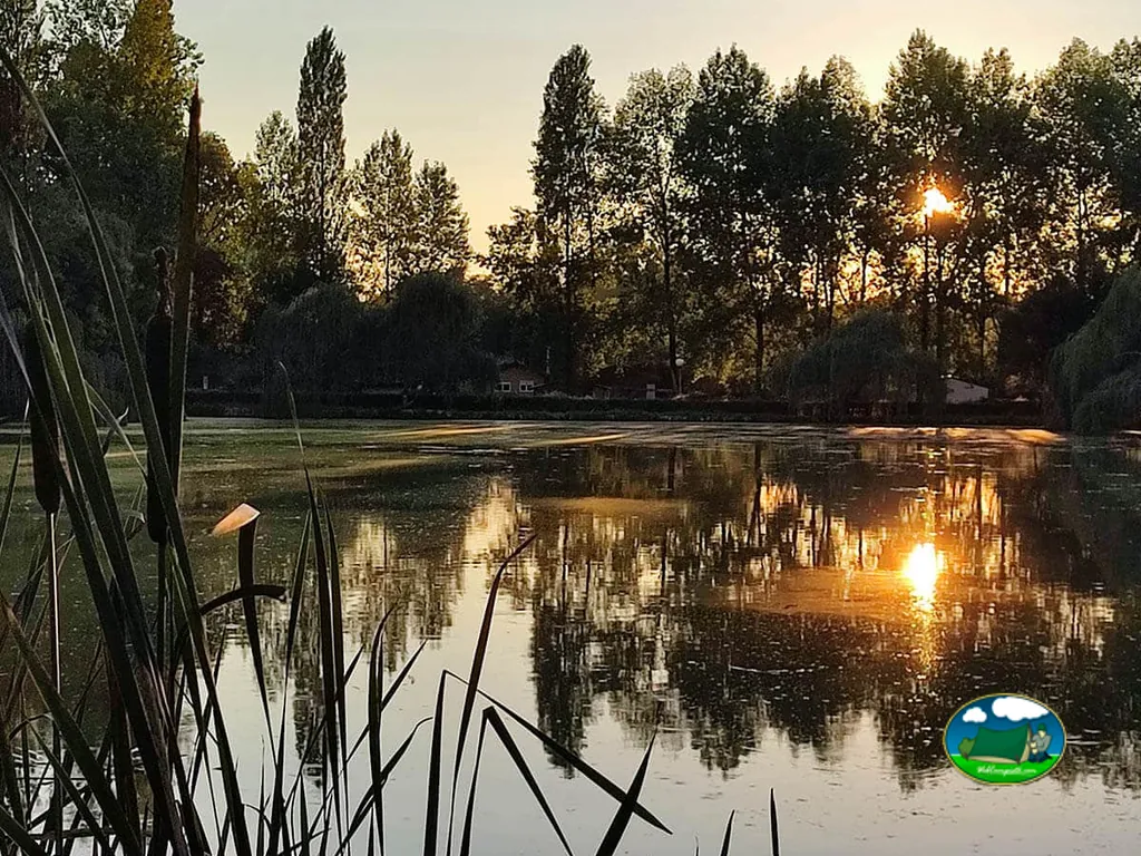 Estanque al atardecer
