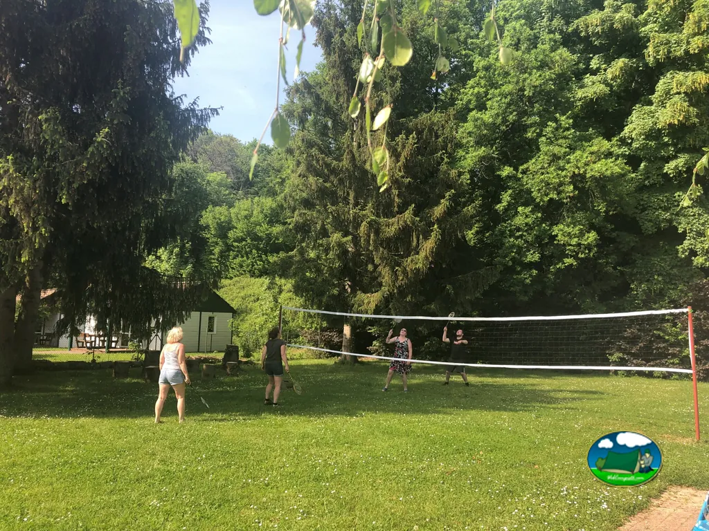 Partida de voleibol en pradera