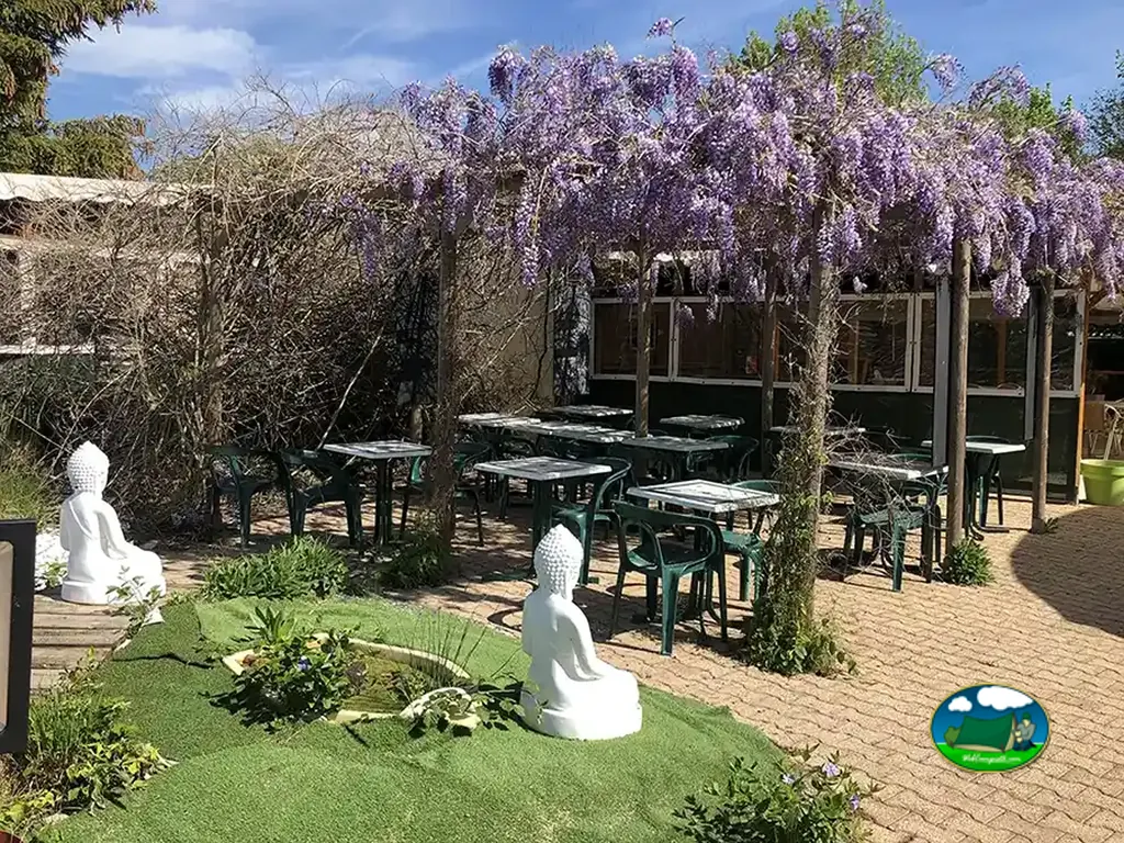 Terraza bajo glicinias