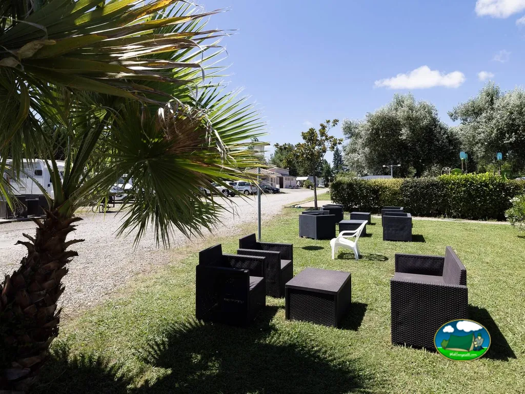 Salón exterior junto a palmera
