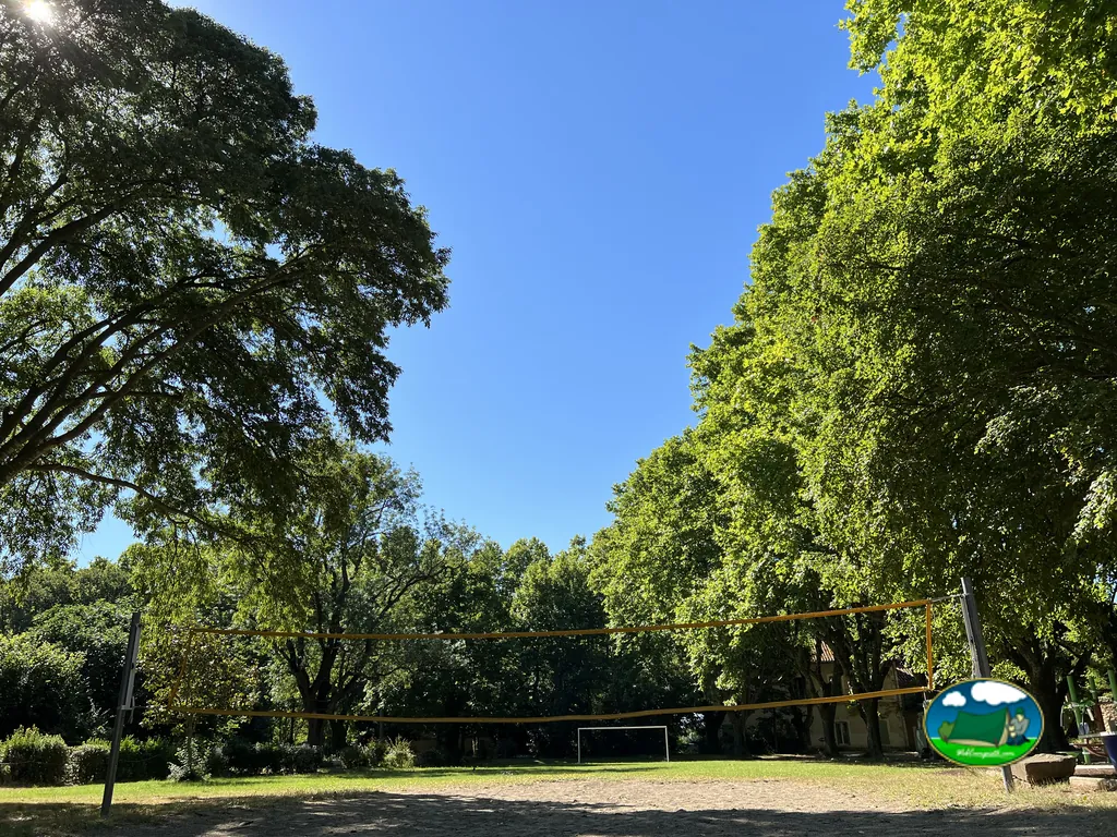 pista deportiva bajo árboles