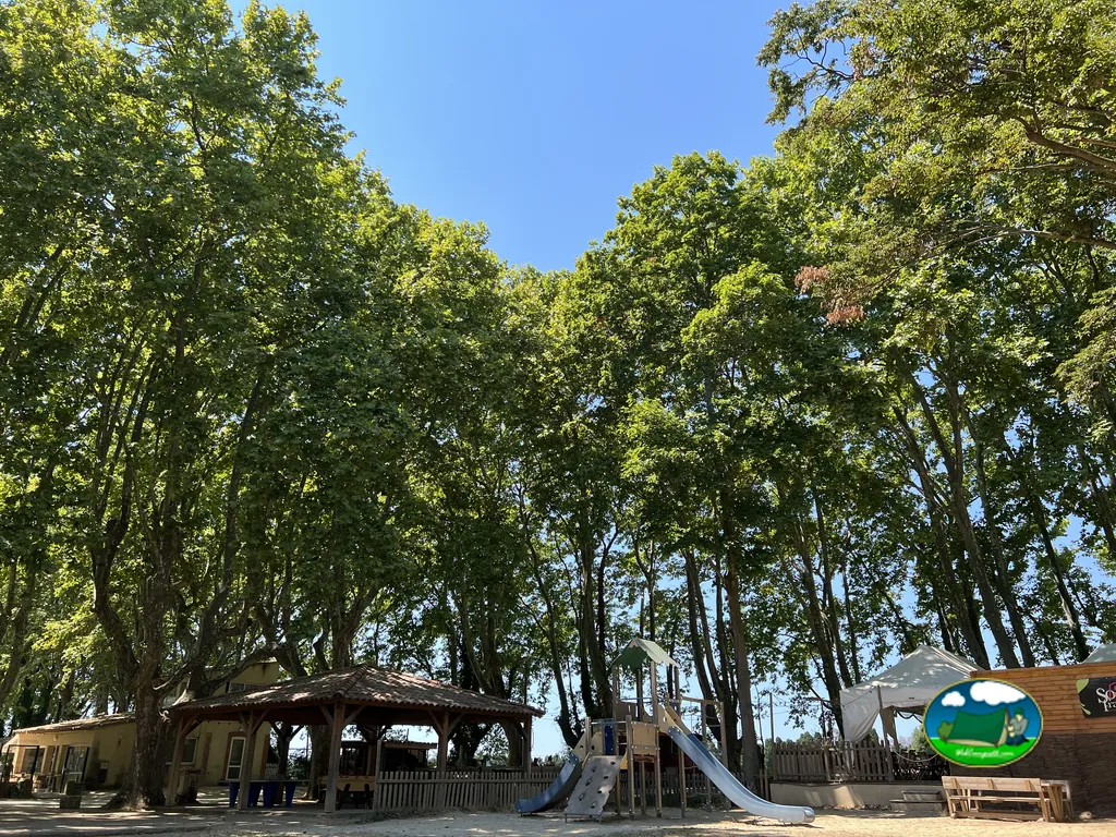 Plaza sombreada por árboles