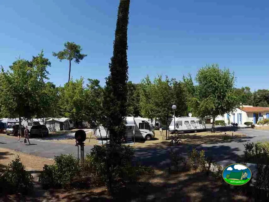 parcelas con caravanas entre árboles