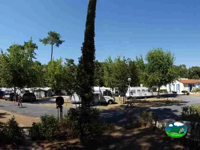 parcelas con caravanas entre árboles