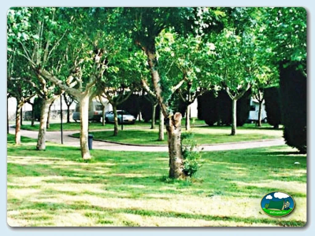 Camping Río Ulla en Pontevedra - imagen 5