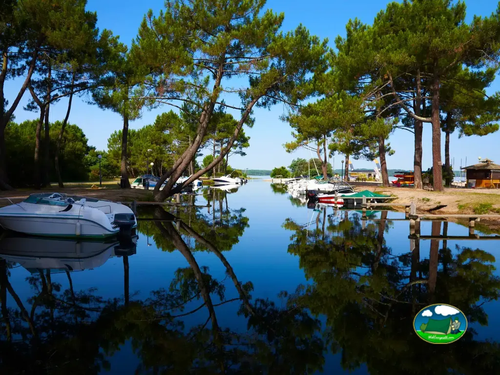 Embarcadero bajo los pinos