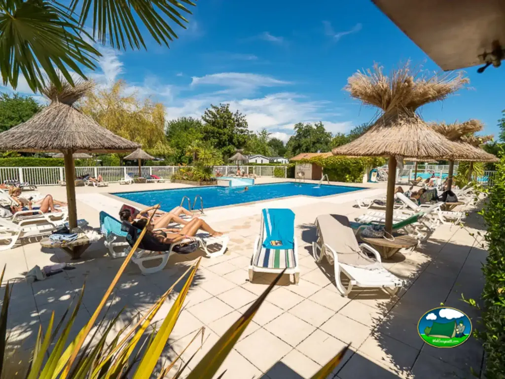 piscina con tumbonas y sombrillas