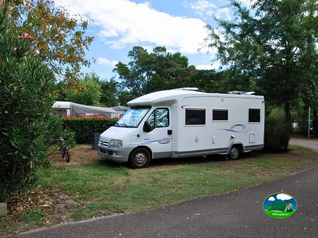 autocaravana entre arbustos