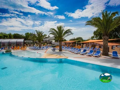 Piscina entre palmeras