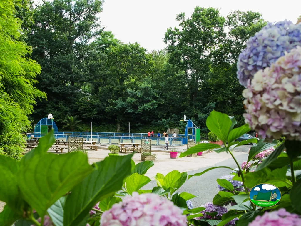 piscina entre flores