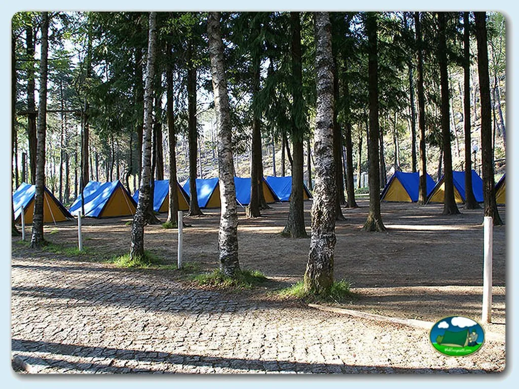 Tiendas de acampada entre árboles en parcelas sombreadas del Camping Merujal, Arouca (Aveiro)