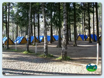 Tiendas de acampada entre árboles en parcelas sombreadas del Camping Merujal, Arouca (Aveiro)