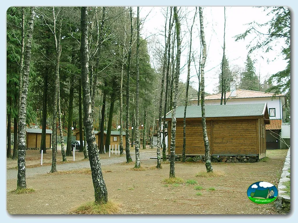Bungalow entre árboles de abedul del Camping Merujal, Arouca (Aveiro)