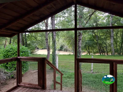 Terraza frente al bosque