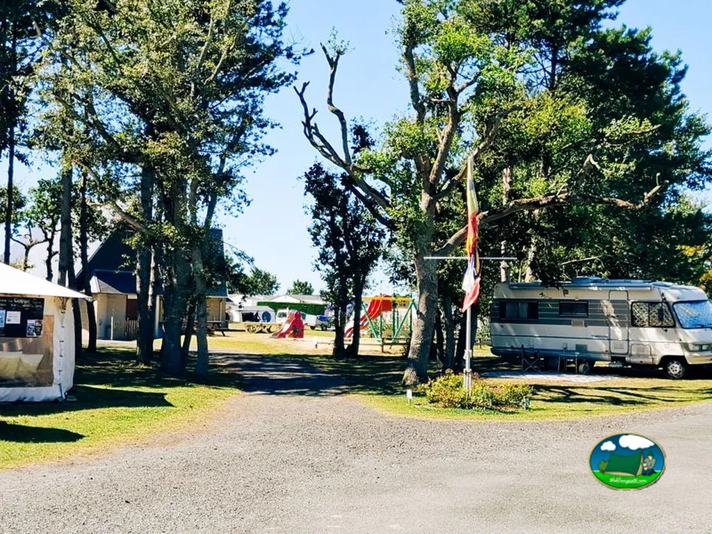 Caravanas bajo los pinos