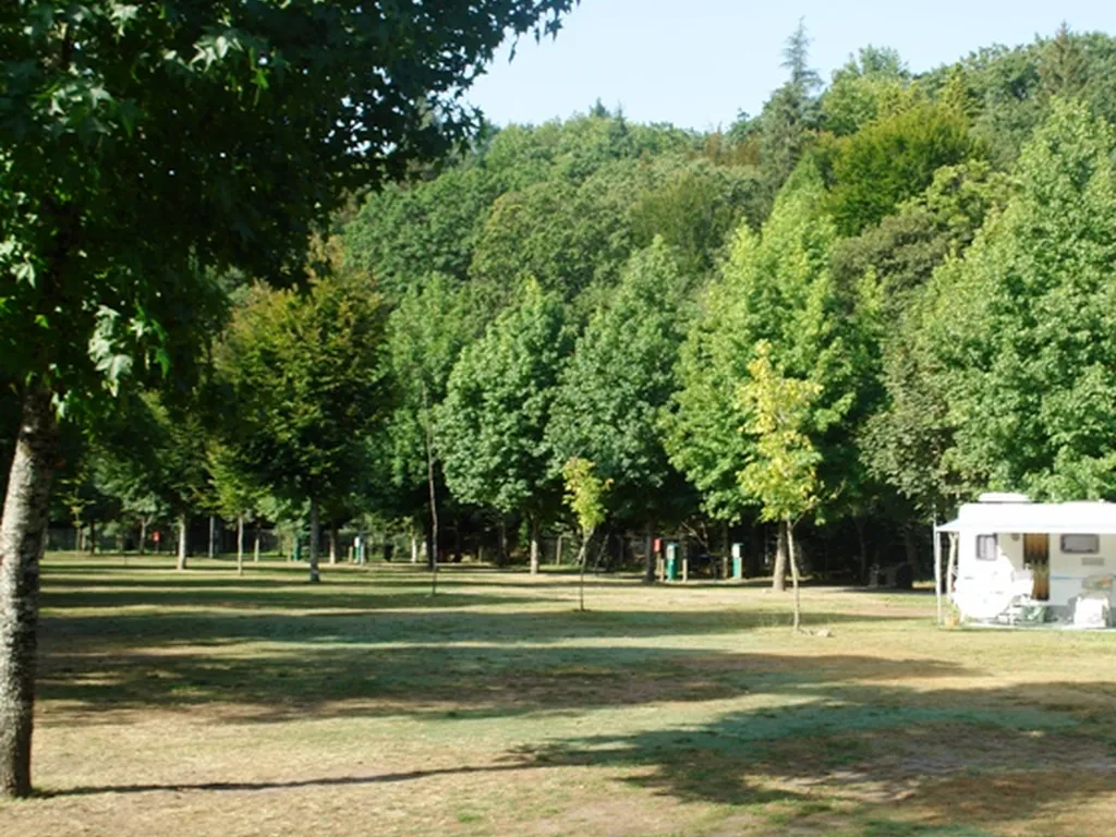 Parcela en zona boscosa con árboles del Camping Cabreira, Vieira do Minho (Braga)