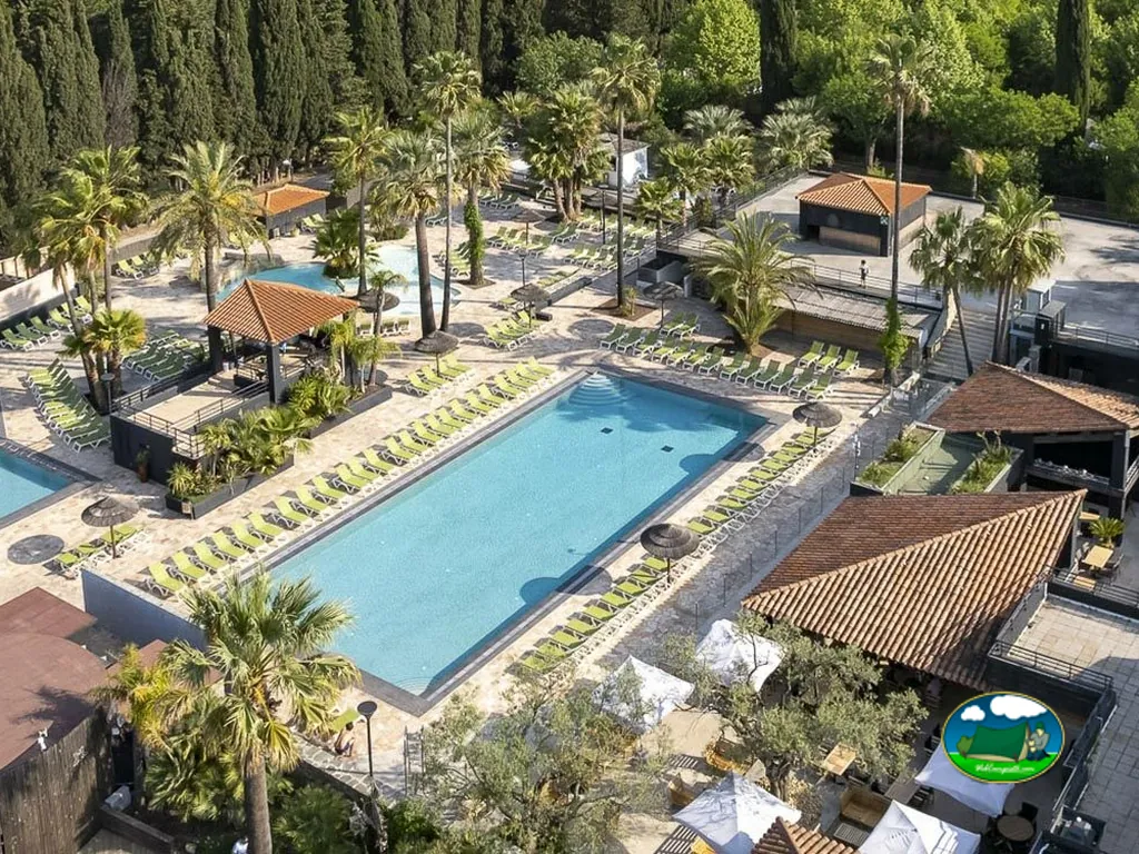 Piscina entre palmeras