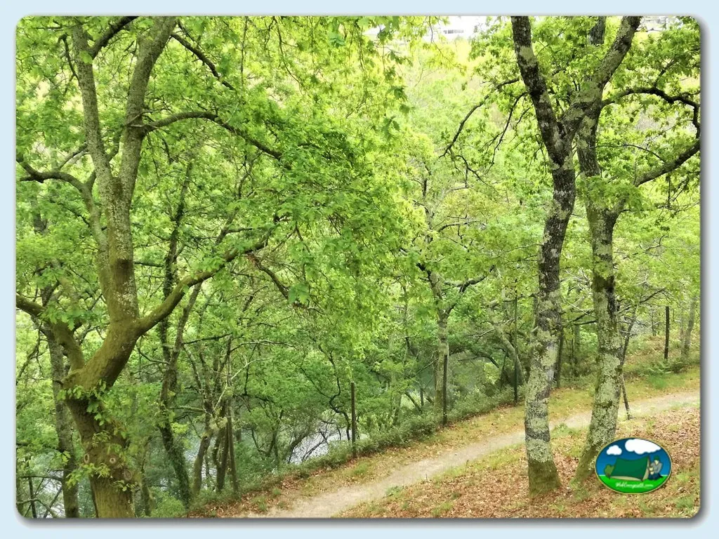 Parcela junto al río entre árboles del Camping Penedo da Rainha, Amarante (Porto)