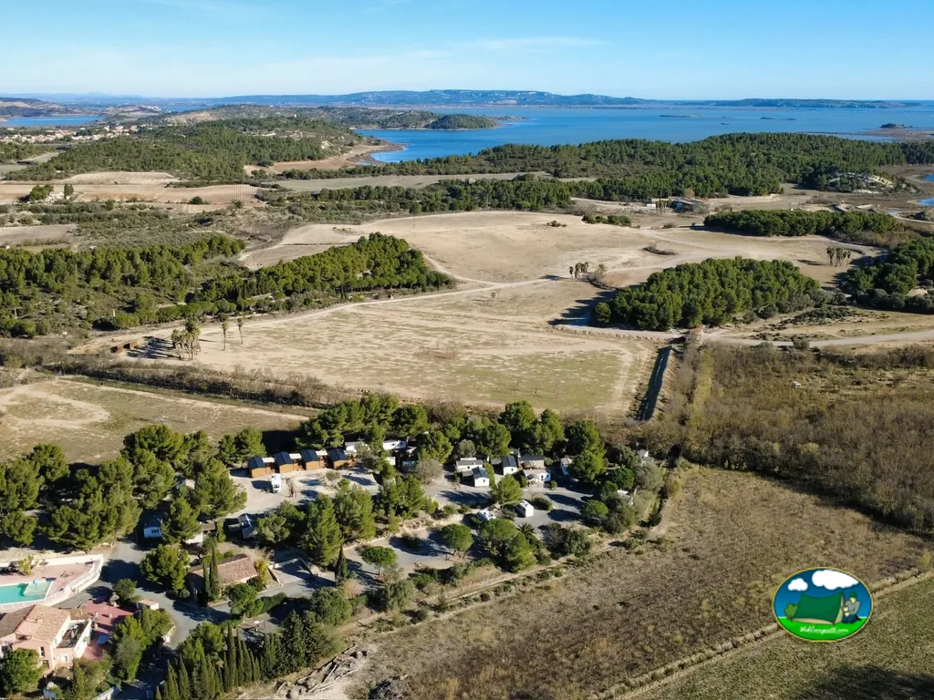 vista aérea de parcelas entre pinos