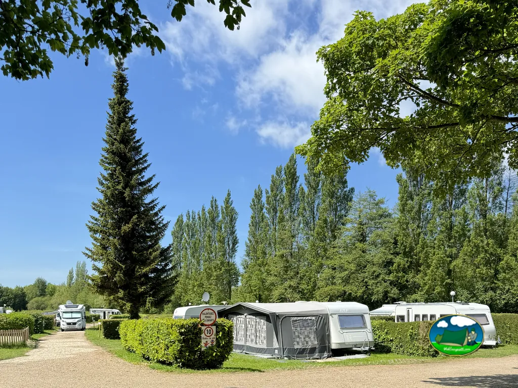 caravanas junto a árboles