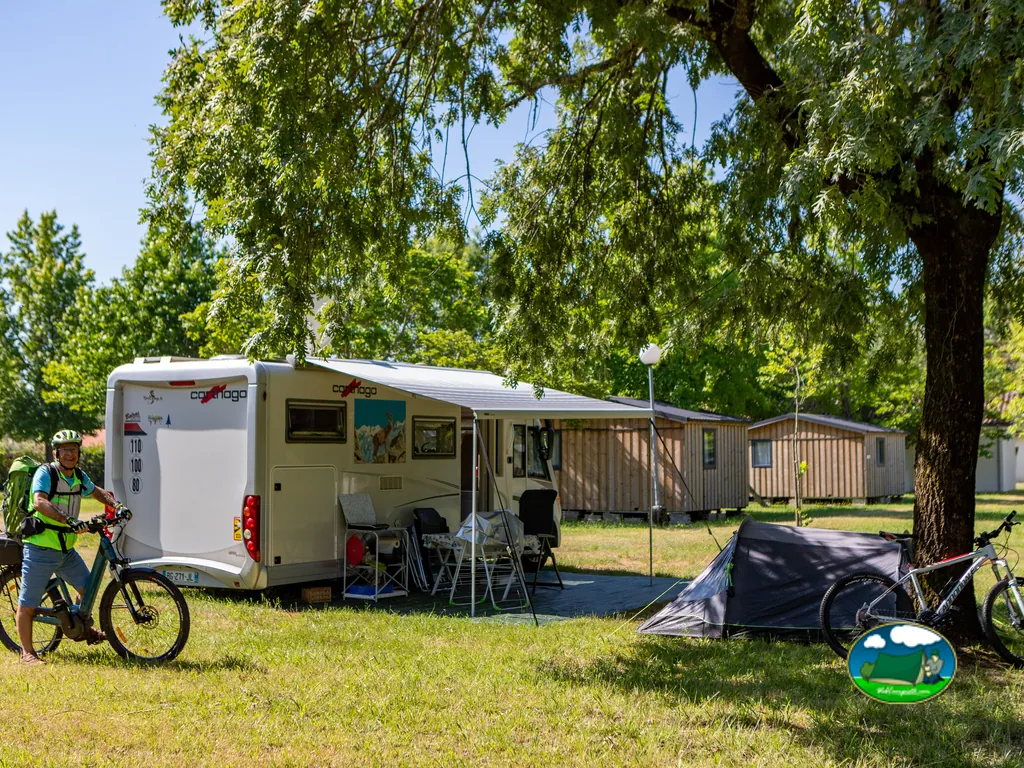 autocaravana y bicicletas bajo árbol