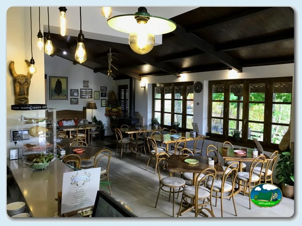 Restaurante bar con luz natural y diseño moderno del Camping Cepo Verde, Gondesende (Bragança)