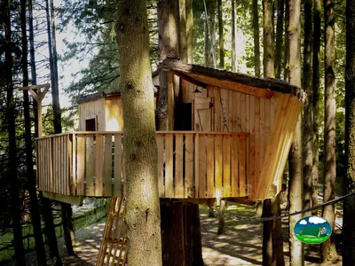 cabaña de madera entre árboles