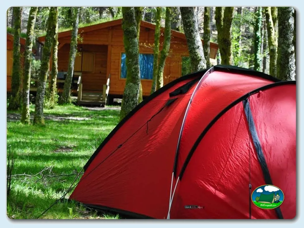 Tienda de acampada junto a cabaña de madera en bosque de pinos del Camping Lamas de Mouro, Lamas de Mouro (Viana Do Castelo)