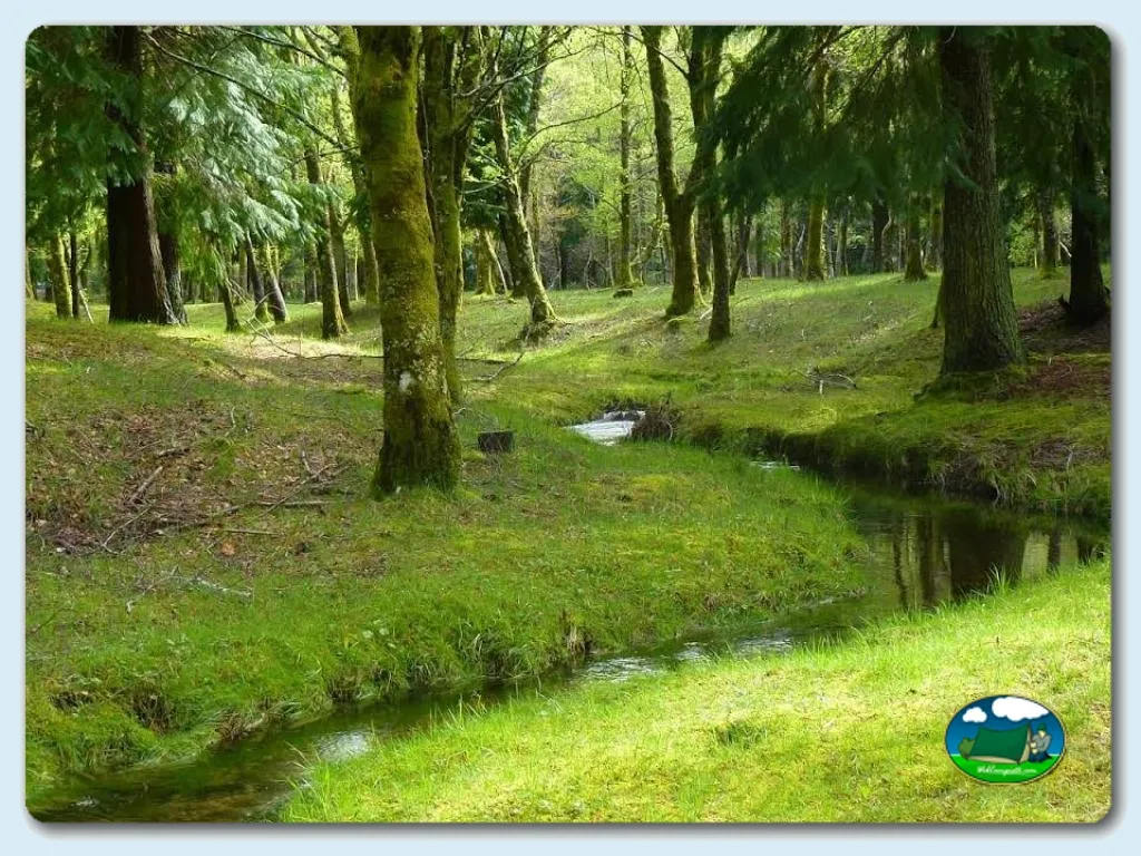 Parcela junto al río entre árboles del Camping Lamas de Mouro, Lamas de Mouro (Viana Do Castelo)