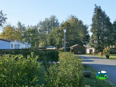 mobil-homes blancos entre setos y árboles junto a un camino asfaltado del camping