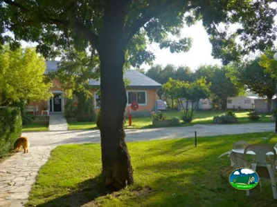 jardín del camping con un gran árbol, un perro y caravanas estacionadas al fondo