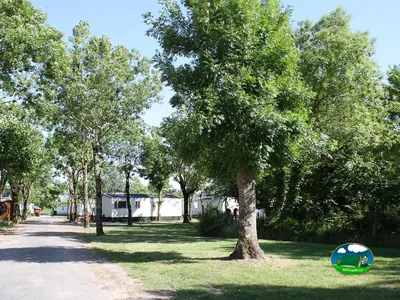Camino arbolado junto a caravanas fijas en el césped del camping.