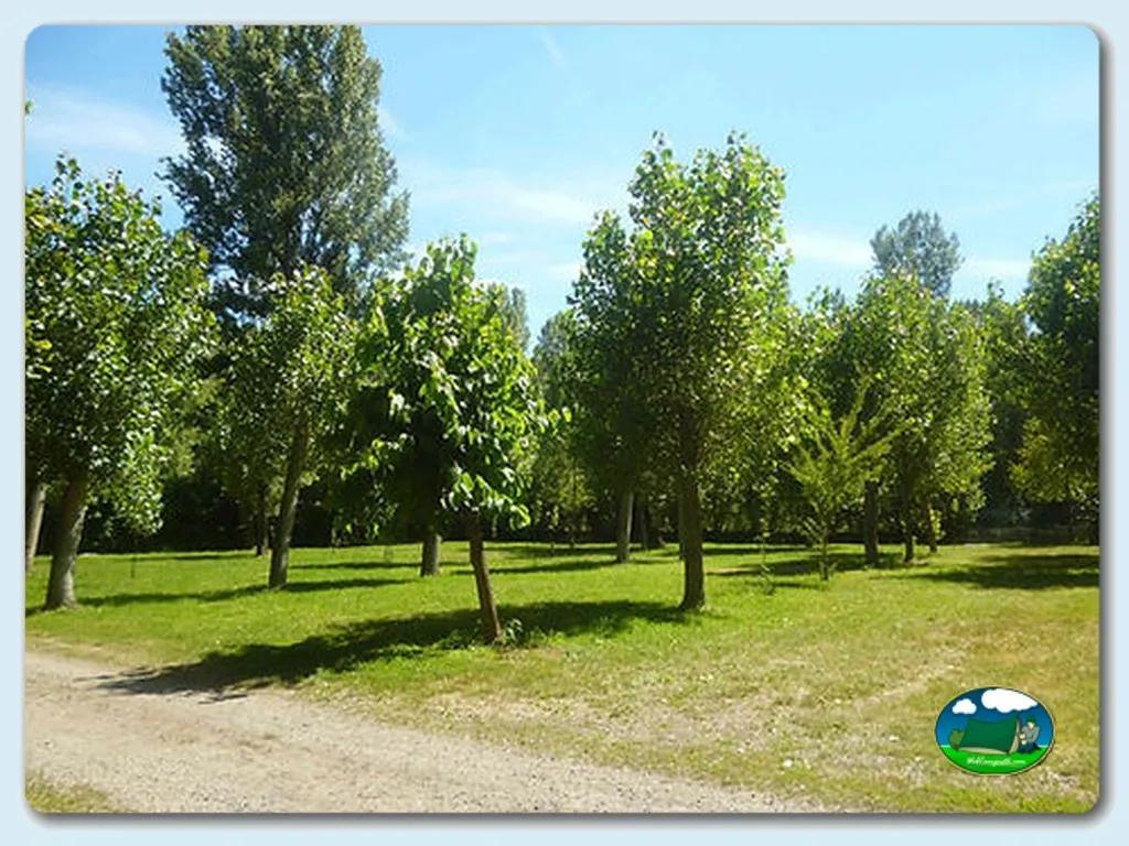 Camping Rivera del Cúa en Vega de Espinareda