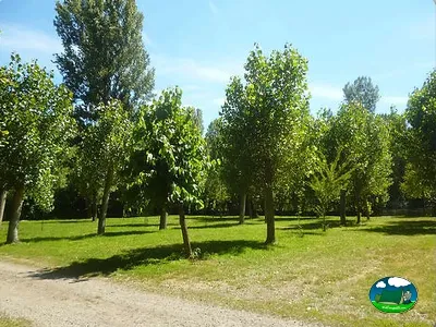 Parcela con árboles y césped del Camping Rivera del Cúa, Vega de Espinareda (León)