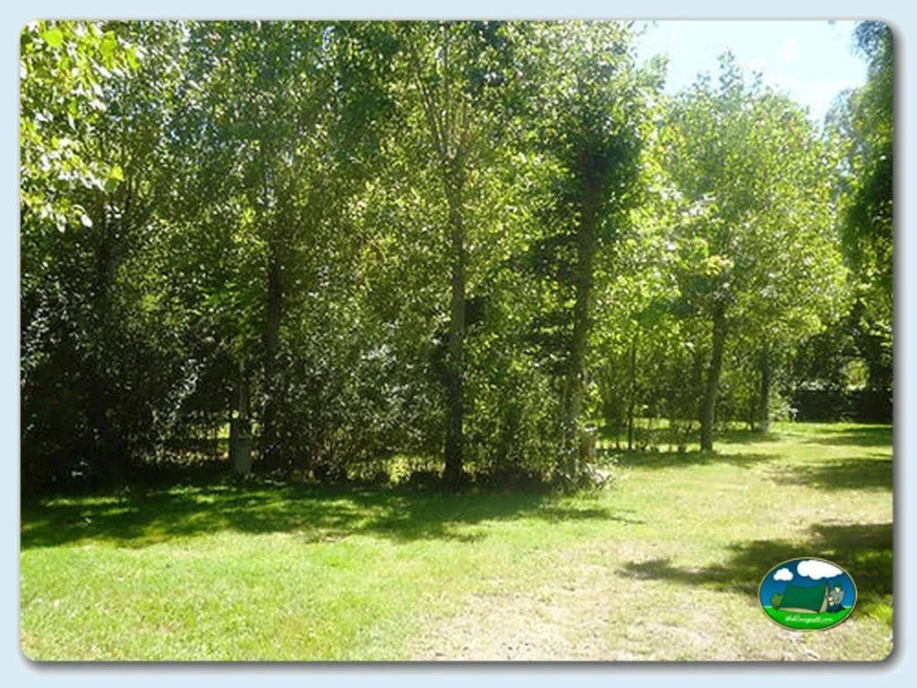 Parcela arbolada con sombra del Camping Rivera del Cúa, Vega de Espinareda (León)
