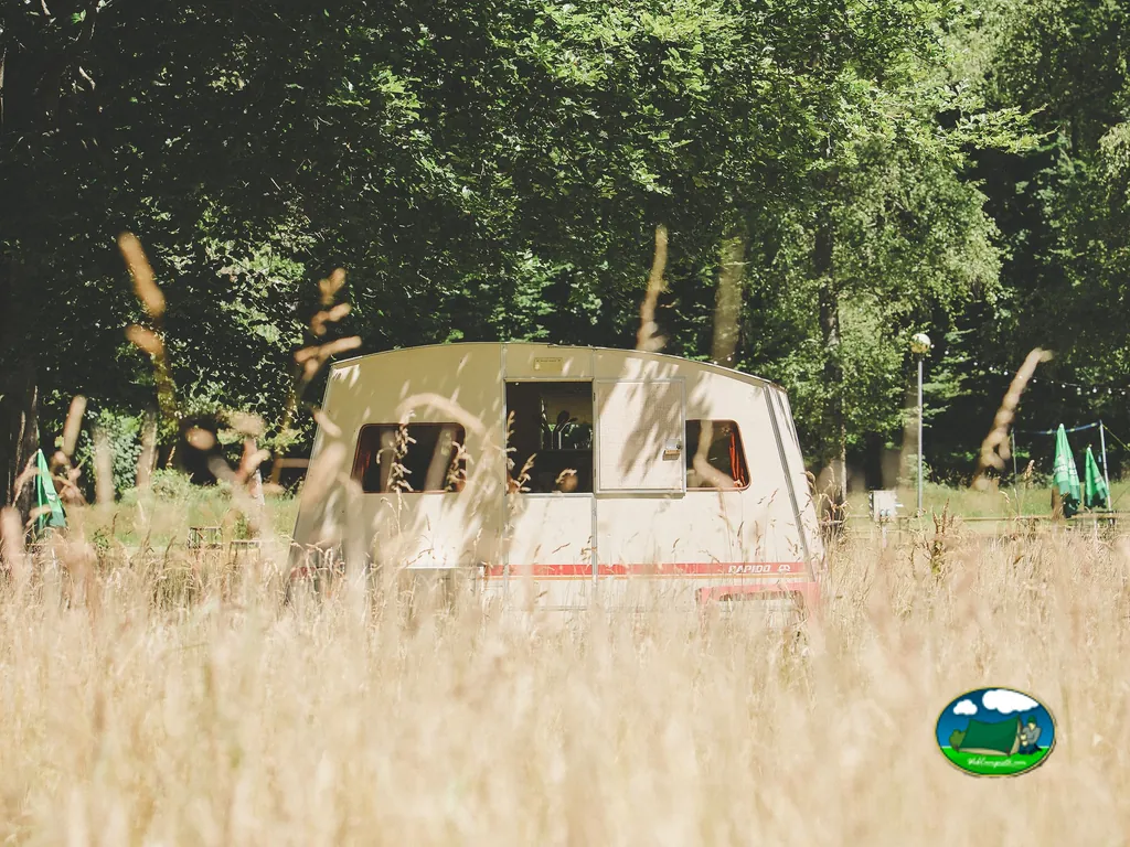 caravana vintage entre hierba alta a contraluz bajo árboles en el camping de Haulmé