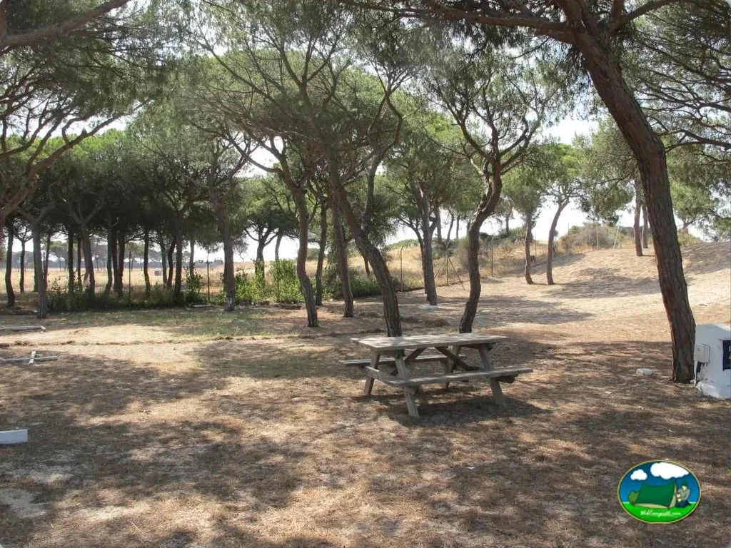 Camping Playa de Mazagón en Mazagón, Huelva - imagen 5