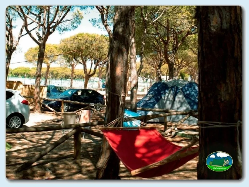 Foto de Camping Donana Playa