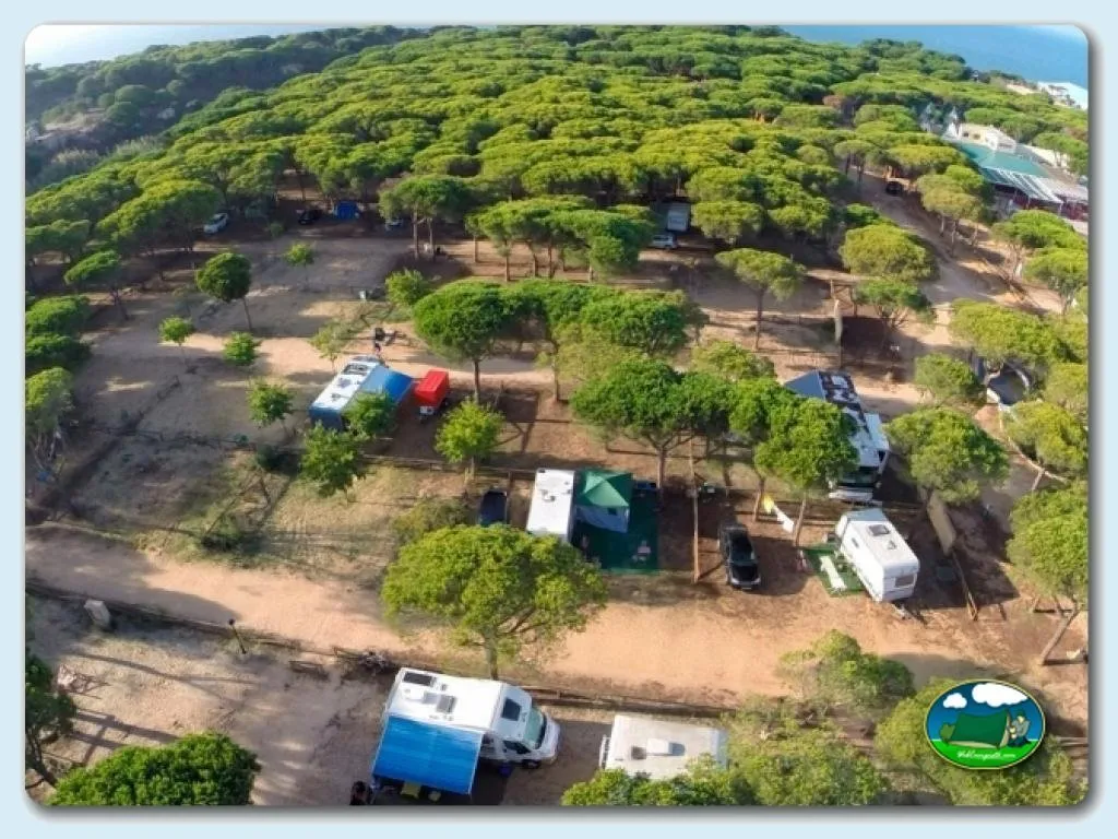 Foto de Camping Donana Playa