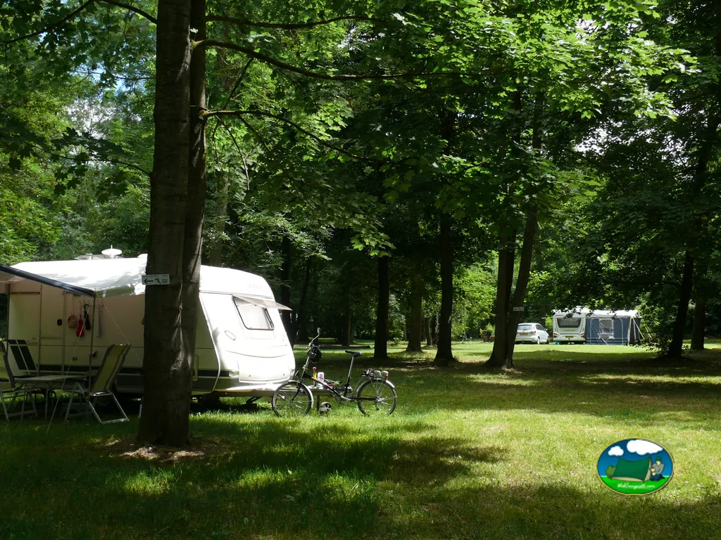 parcela de caravana a la sombra de grandes árboles en el camping