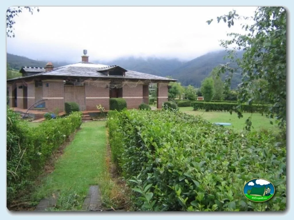 Camping Amaido en San Tirso de Abres