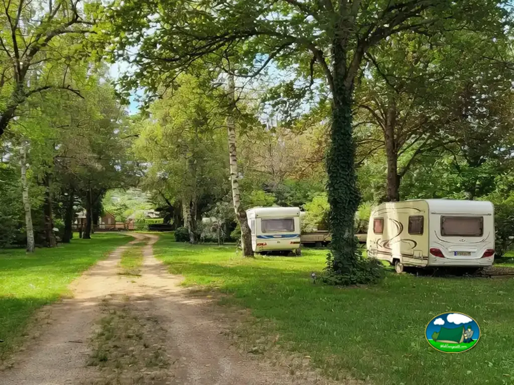camino de tierra entre árboles con caravanas aparcadas en las parcelas