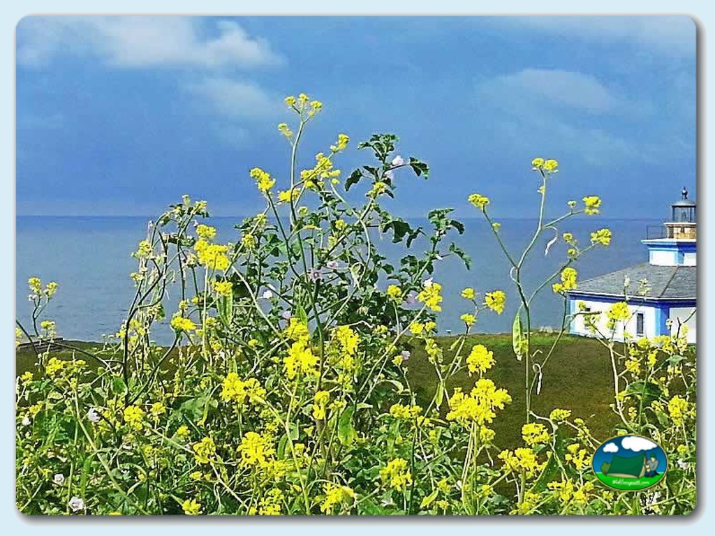 foto del camping Camping Ribadeo