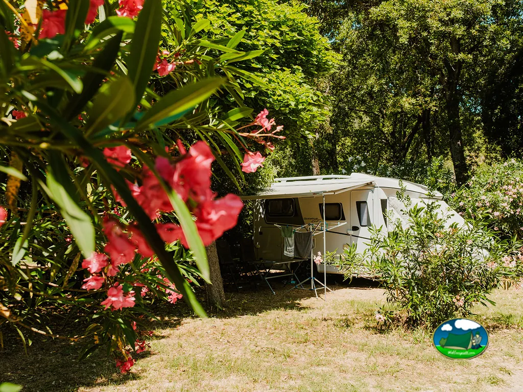caravana con toldo en su parcela vista entre flores rosas de adelfa
