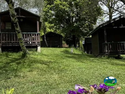 cabañas de madera entre árboles y césped con flores moradas en primer plano en Tauves