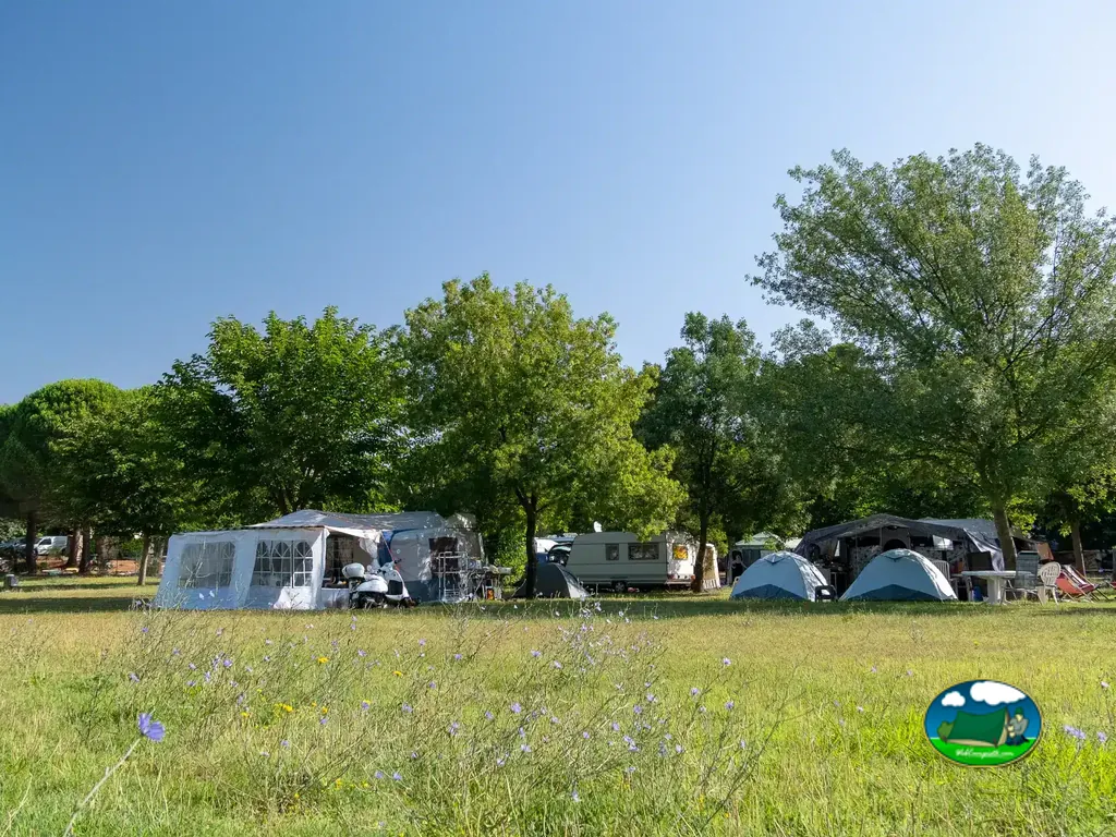 parcelas de acampada con caravana, avancé y tiendas entre árboles en Draguignan