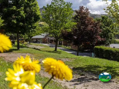 cabañas de madera entre árboles con montañas al fondo y flores amarillas en primer plano en Chorges